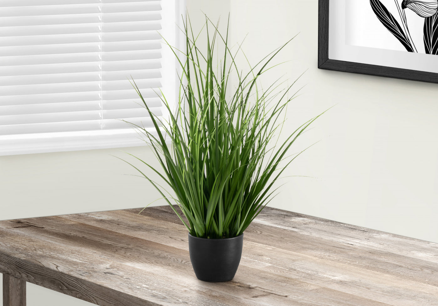 26" Grass Plant With 4" Black Pot - Green