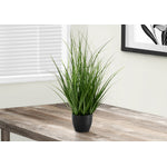 26" Grass Plant With 4" Black Pot - Green