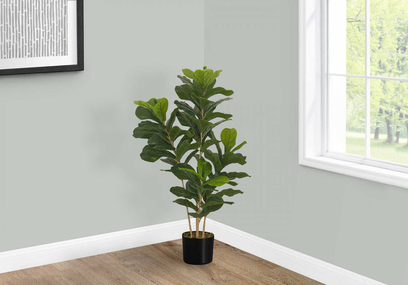 41" Fiddle Tree With 5" Black Pot - Green