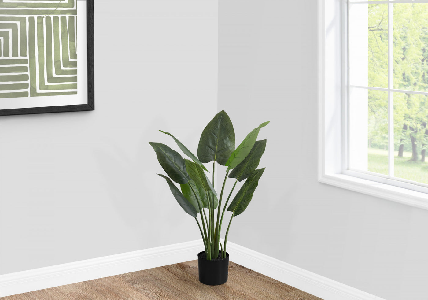 37" Aureum Plant With 5" Black Pot - Green