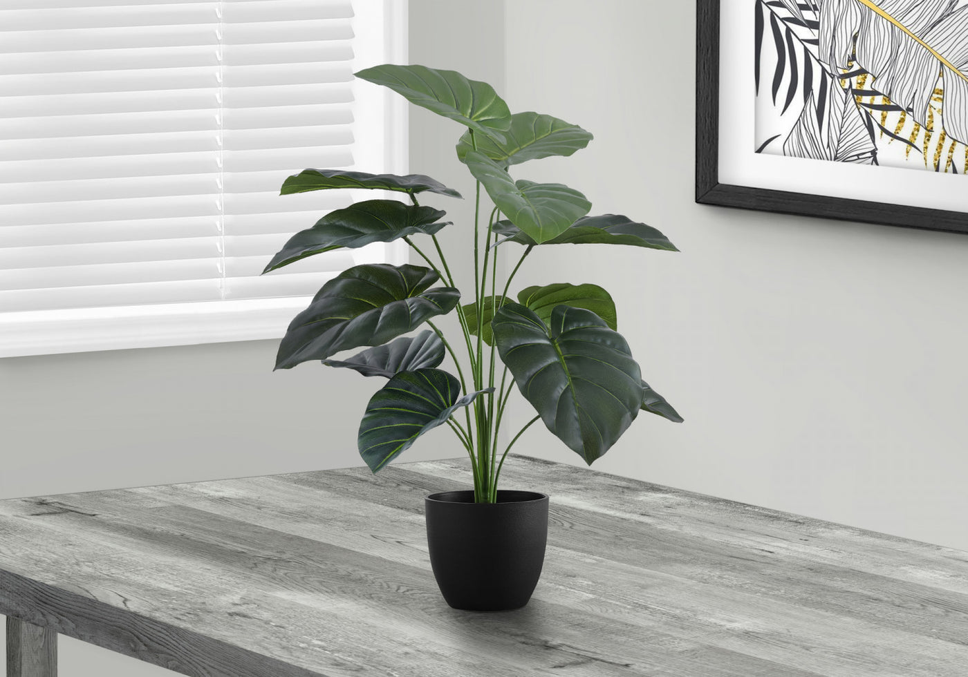 24" Alocasia Plant With 5" Black Pot - Green