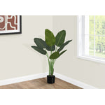 44" Bird Of Paradise Plant With 5" Black Pot - Green