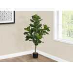 47" Fiddle Tree With 5" Black Pot - Green