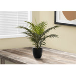 20" Palm Plant With 5" Black Pot - Green
