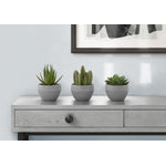 6" Succulent Plant With Grey Pot - Green - Set of Three
