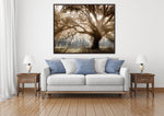 Tree of Light Wall Art - Brown - 40 X 50