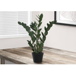 29" ZZ Plant With 6" Black Pot - Green