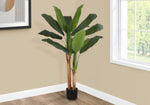 55" Banana Tree With 6" Black Pot - Green