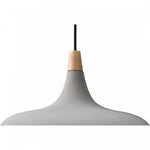 Robinson Pendant - Grey