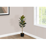 40" Rubber Tree With 5" Black Pot - Green