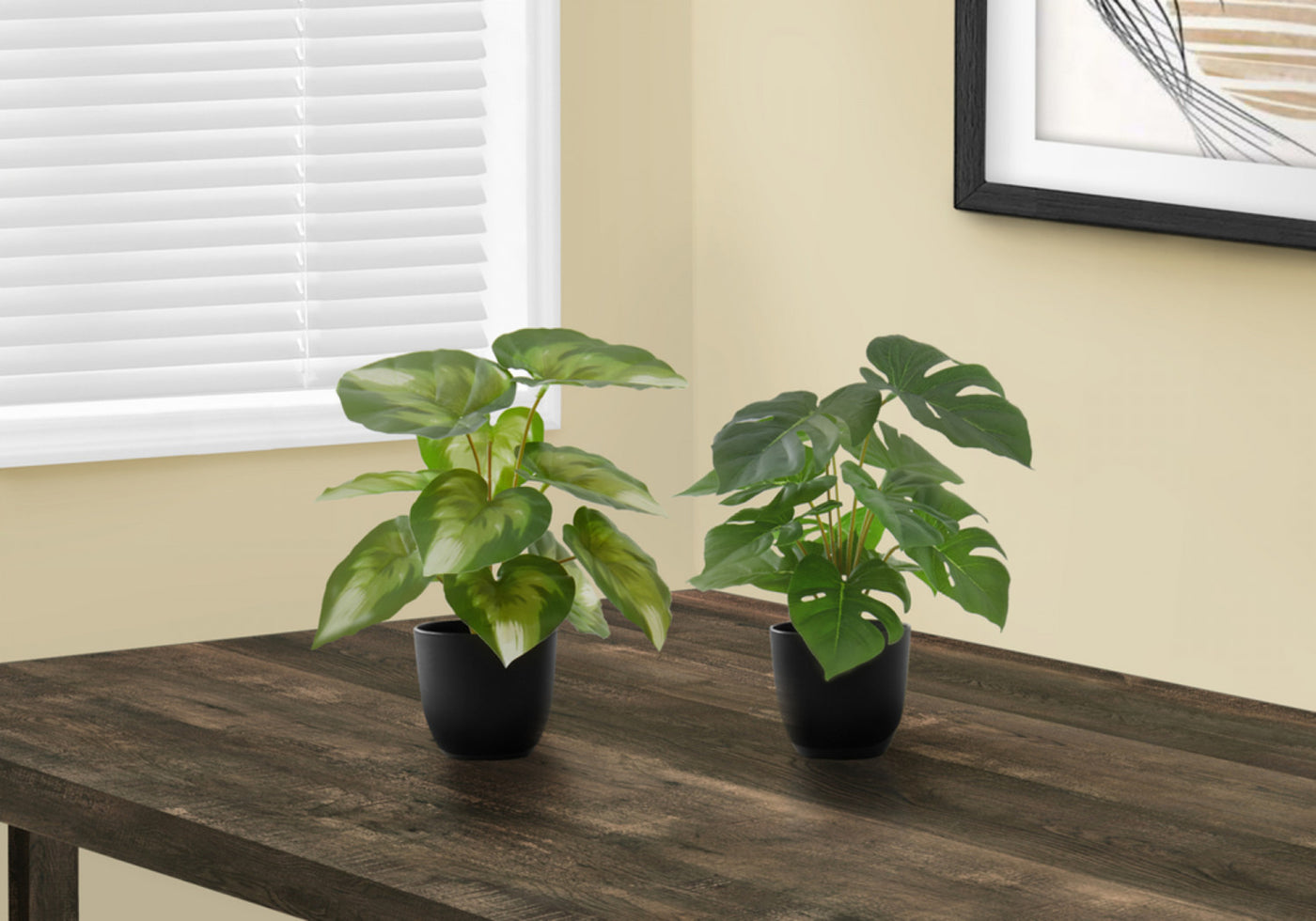 13" Monstera and Calathea Plants With 4" Black Pot - Green - Set of Two