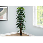 83" Monstera Plant With 8" Black Pot - Green