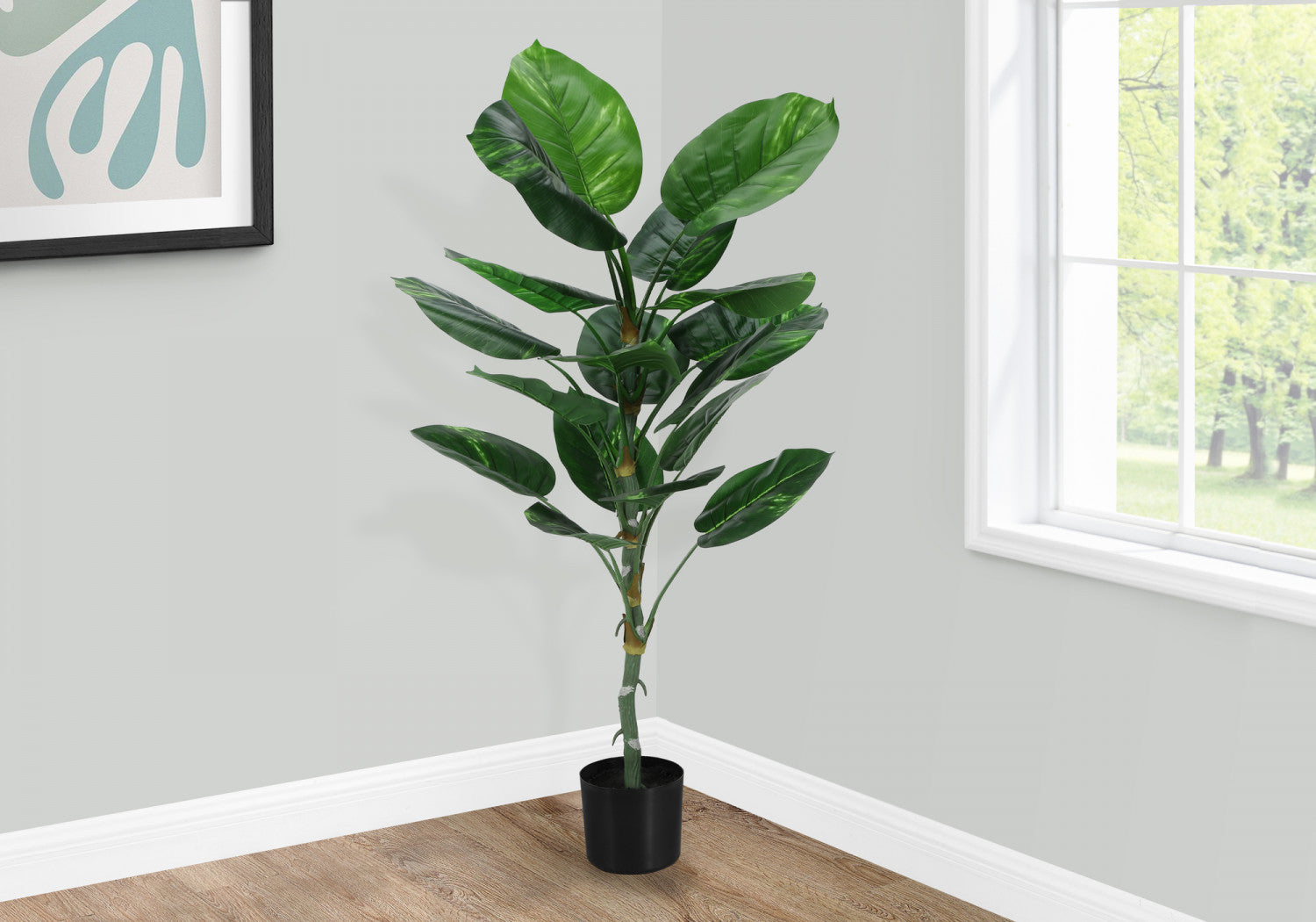 54" Dieffenbachia Tree With 6" Black Pot - Green