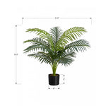 34" Palm Tree With 5" Black Pot - Green