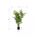 47" Areca Tree With 5" Black Pot - Green