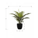 20" Palm Plant With 5" Black Pot - Green