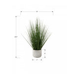 21" Grass Plant With 4" White Pot - Green