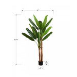 83" Banana Tree With 8" Black Pot - Green