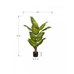 47" Evergreen Plant With 5" Black Pot - Green
