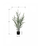 44" Eucalyptus Plant With 5" Black Pot - Green
