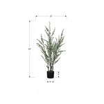 44" Eucalyptus Plant With 5" Black Pot - Green