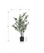 35" Eucalyptus Plant With 5" Black Pot - Green