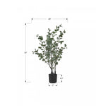 35" Eucalyptus Plant With 5" Black Pot - Green