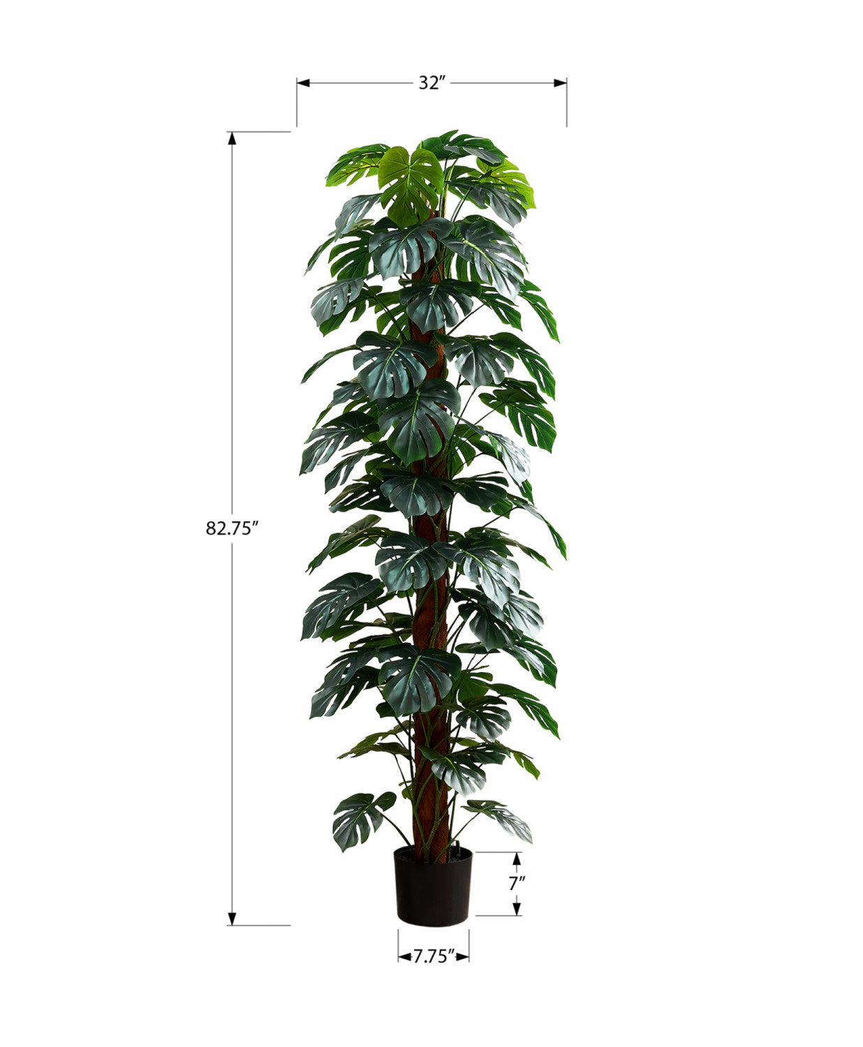 83" Monstera Plant With 8" Black Pot - Green