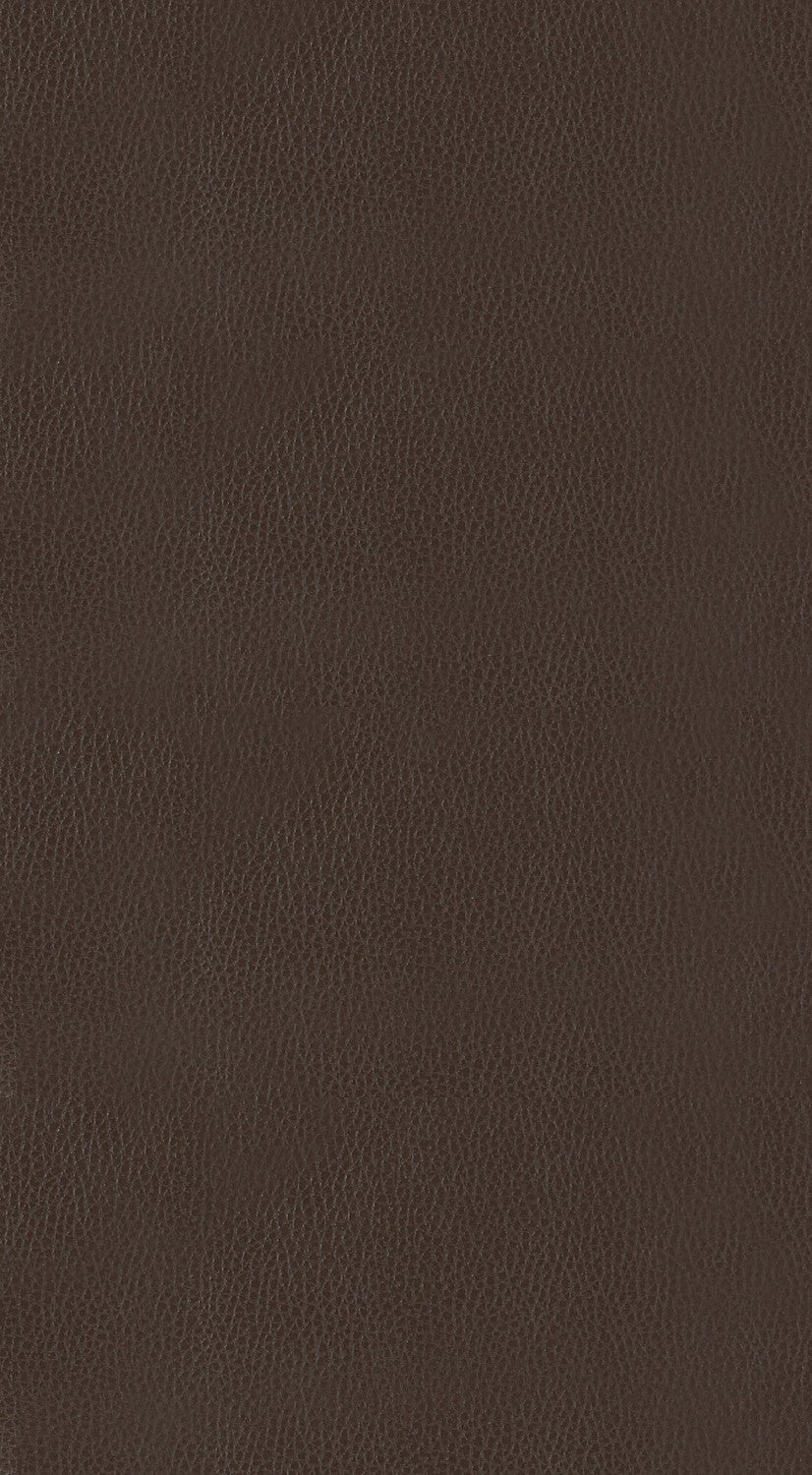 Westby Counter Stool - Brown - Set of Two