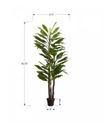 83" Dracaena Tree With 8" Black Pot - Green