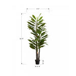 83" Dracaena Tree With 8" Black Pot - Green