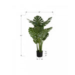 45" Monstera Plant With 6" Black Pot - Green