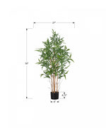 50" Bamboo Tree With 5" Black Pot - Green