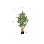 50" Bamboo Tree With 5" Black Pot - Green