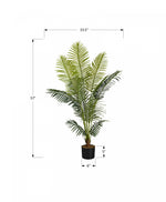 47" Palm Tree With 5" Black Pot - Green