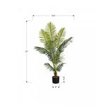 47" Palm Tree With 5" Black Pot - Green