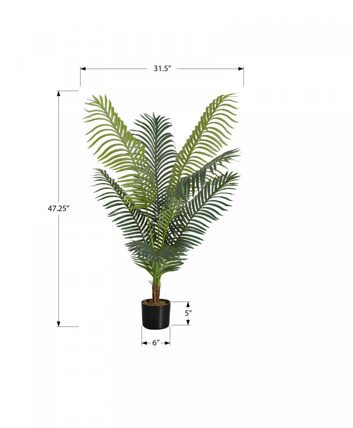 47" Palm Tree With 6" Black Pot - Green