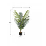 47" Palm Tree With 6" Black Pot - Green