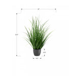 26" Grass Plant With 4" Black Pot - Green