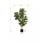 41" Fiddle Tree With 5" Black Pot - Green