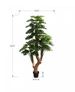83" Monstera Tree With 8" Black Pot - Green