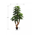 83" Monstera Tree With 8" Black Pot - Green