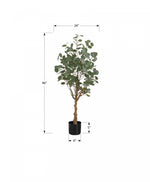 46" Eucalyptus Tree With 5" Black Pot - Green
