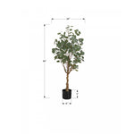 46" Eucalyptus Tree With 5" Black Pot - Green