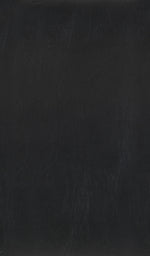 Westby Counter Stool - Black - Set of Two