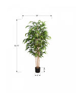 83" Bamboo Tree With 8" Black Pot - Green