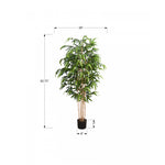 83" Bamboo Tree With 8" Black Pot - Green