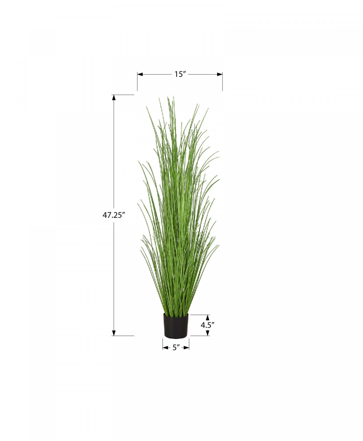 47" Grass Plant With 5" Black Pot - Green