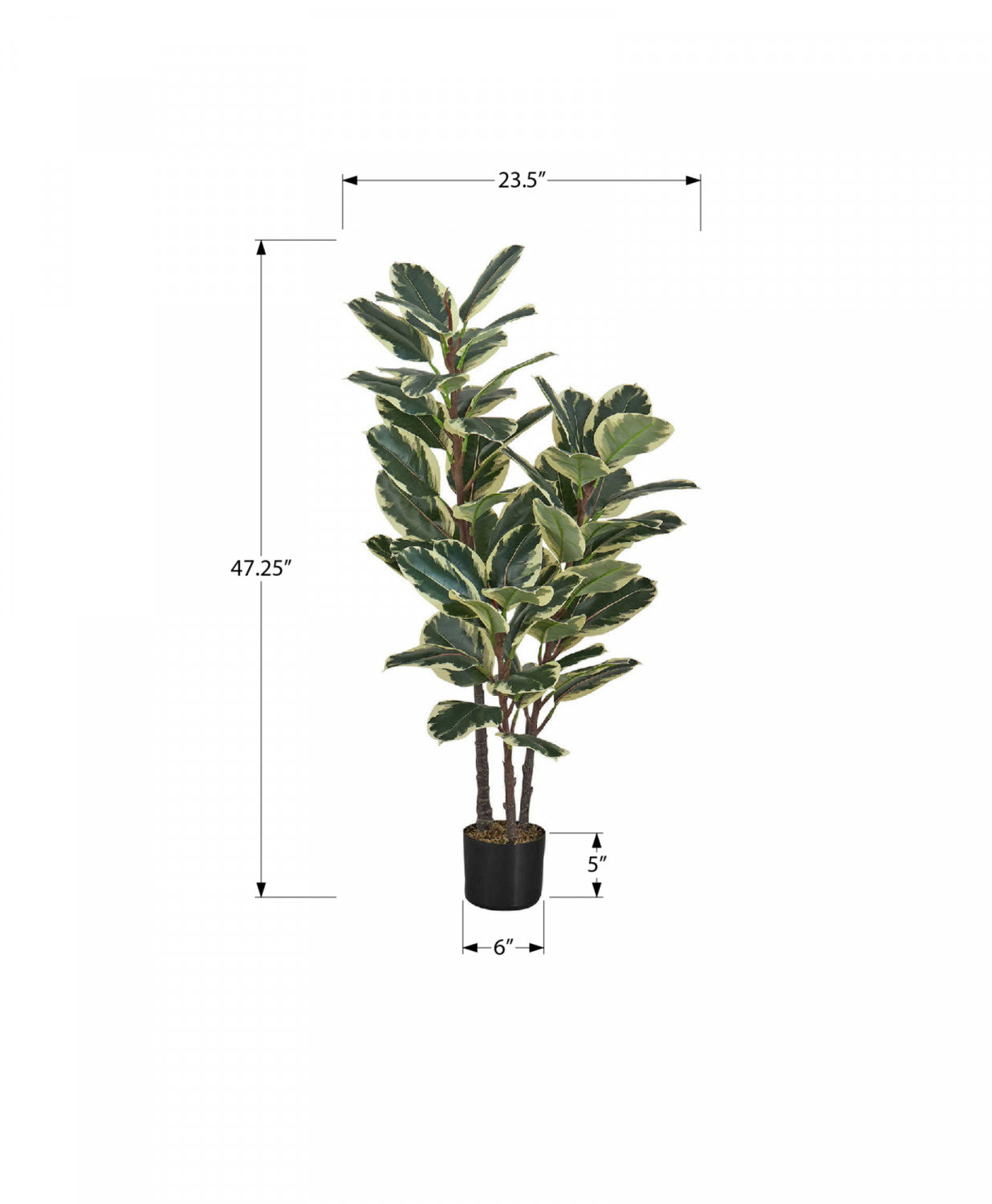 47" Oak Tree With 5" Black Pot - Green