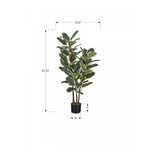 47" Oak Tree With 5" Black Pot - Green